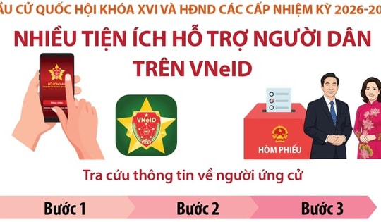 Nhiều tiện ích trên VNeID hỗ trợ người dân bầu cử