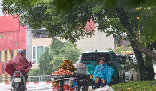 Miền Bắc trời rét, miền Trung mưa kéo dài do tác động của không khí lạnh