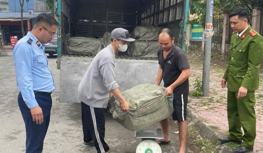 Kiểm tra ô tô tải bất ngờ phát hiện hơn nửa tấn nầm lợn đông lạnh có dấu hiệu ôi thiu