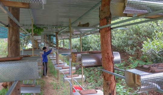 Khám phá 'làng ong Dú' giữa đồi núi sỏi đá Khánh Hòa