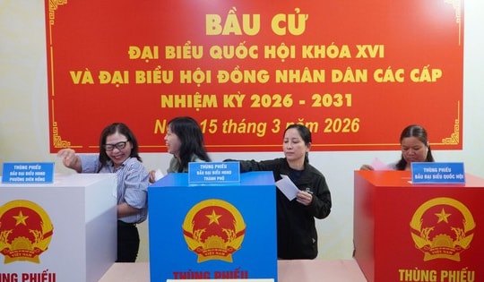 Những điều cử tri cần lưu ý khi tham gia bỏ phiếu