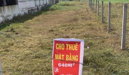 Hộ, cá nhân cho thuê bất động sản doanh thu từ 500 triệu đồng/ năm trở xuống không phải nộp thuế