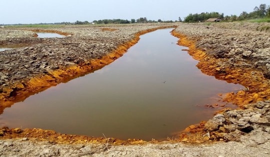 Xâm nhập mặn Nam Bộ ăn sâu đến 50km trong đất liền, khuyến cáo người dân tích trữ nước ngọt