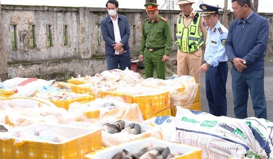 Chặn xe tải chở hơn 2,6 tấn nội tạng, xương động vật không rõ nguồn gốc