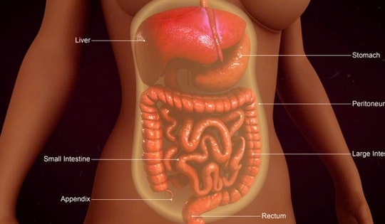 Ung thư phúc mạc phức tạp gia tăng, các chuyên gia hội tụ ở Singapore chia sẻ kinh nghiệm chẩn đoán, điều trị