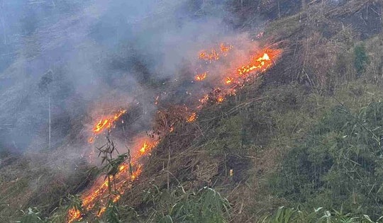 Những nguyên tắc như 'lá chắn thép' phòng chống cháy rừng