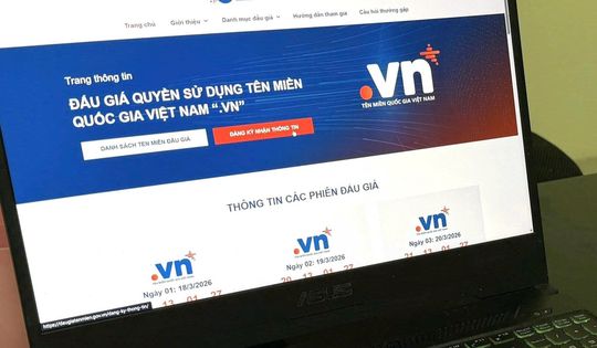 Đấu giá thành công 16 tên miền, mức giá cao nhất là 217 triệu đồng