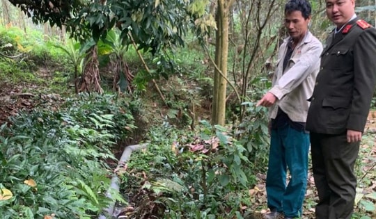 Bị phản ánh xả thải ra ruộng của dân, chủ trang trại lợn bị phạt 107 triệu đồng