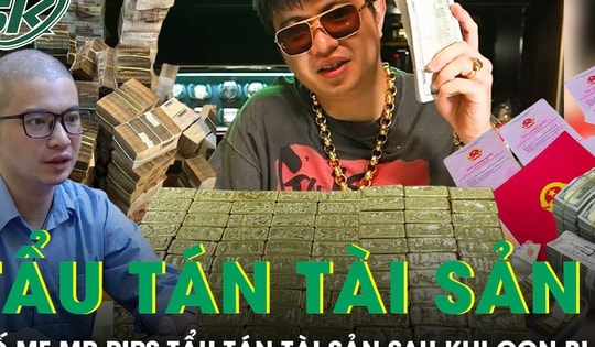 Bố mẹ Mr Pips rút 125 tỷ mua USD, 314 cây vàng sau khi con bị bắt