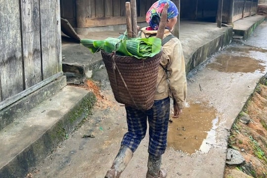 Vòng luẩn quẩn tảo hôn ở miền Tây Nghệ An: Tìm lối thoát khỏi vòng lặp bỏ học, tảo hôn và nghèo đói (Kỳ 3)