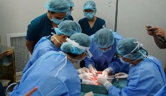 Bệnh viện Nhi đồng 1 ghép thận thành công ca đầu tiên cho bệnh nhi 14 tuổi