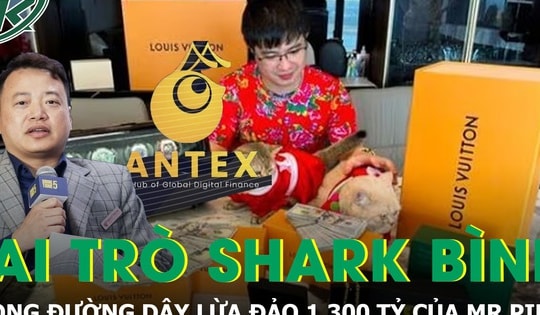 Hé lộ vai trò của Shark Bình trong đường dây lừa đảo 1.300 tỷ liên quan Mr Pips