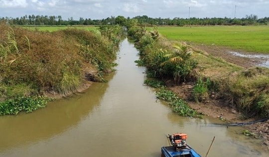 Cảnh báo xâm nhập mặn nghiêm trọng ở Nam Bộ