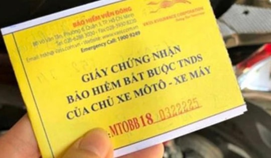 Không mang bảo hiểm xe máy: Lỗi phổ biến nhưng hệ lụy ít người lường trước