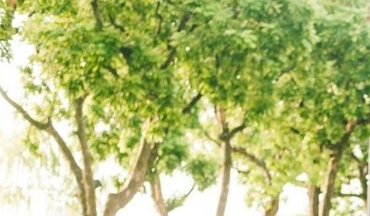 Miền Bắc giảm mưa, trời hửng nắng ở nhiều khu vực