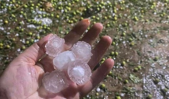 2 trạm y tế và 7 điểm trường bị hư hỏng do dông lốc, mưa đá ở Tuyên Quang