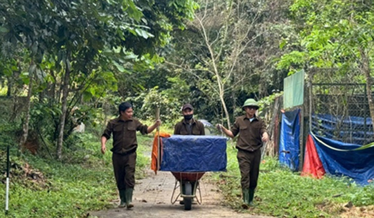 Cận cảnh nhiều động vật hoang dã quý hiếm về lại rừng già