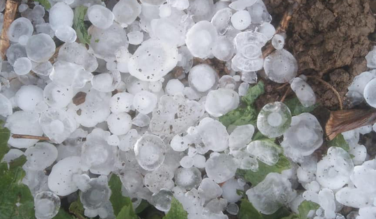 Cách nhận biết sắp có mưa đá và giảm thiểu thiệt hại do thiên tai