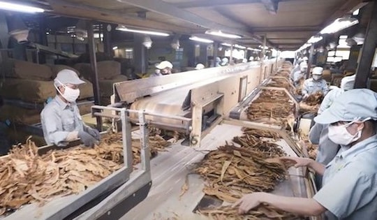 Bà Vũ Lan Hương xin thôi tham gia HĐQT Công ty Cổ phần Ngân Sơn