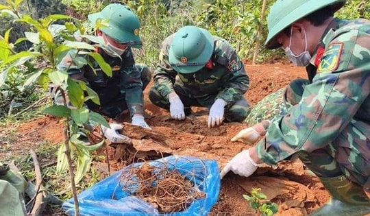 Phó Thủ tướng phát động 'Chiến dịch 500 ngày đêm' tìm kiếm, quy tập hài cốt liệt sĩ