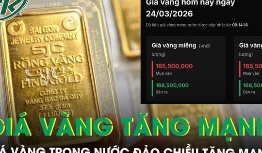 Giá vàng trong nước đảo chiều tăng mạnh, người mua đầu tháng vẫn lỗ 26 triệu/lượng