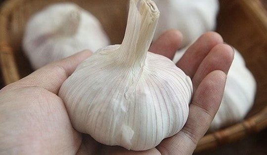 Ăn tỏi mỗi ngày có lợi gì cho tim mạch?