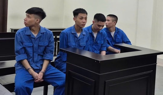 Nhóm thanh niên lừa đảo 19 tỷ đồng ở 'khu Tam Thái Tử' lĩnh án