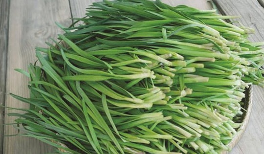 29 bài thuốc chữa bệnh từ cây rau hẹ