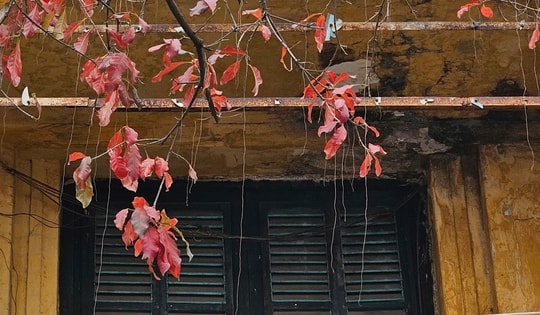 Miền Bắc mưa rải rác buổi sáng, hửng nắng vào trưa chiều