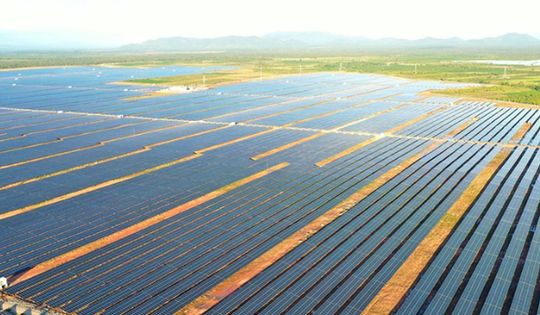 4 công ty 'họ' EA Súp vi phạm lĩnh vực chứng khoán