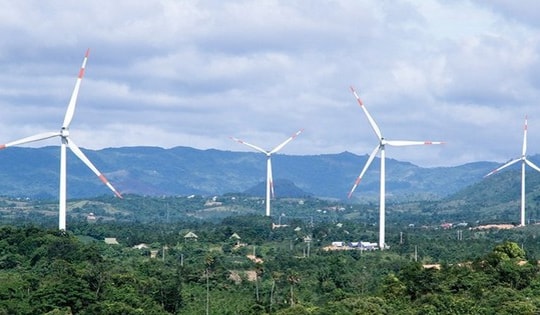 Công ty Cổ phần Tân Hoàn Cầu Bến Tre bị xử phạt 100 triệu đồng