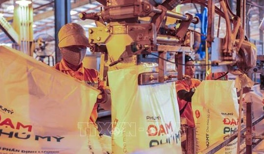 Tìm giải pháp ổn định thị trường phân bón trong nước