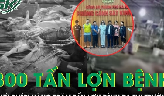 Hà Nội: Phá đường dây ‘phù phép’ 300 tấn lợn bệnh vào trường học, chợ dân sinh