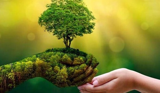 Chuyển đổi số – xanh: Động lực lớn nhưng chưa dễ 'bật công tắc' cho nông nghiệp