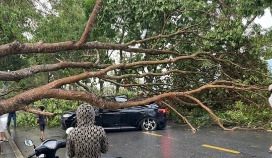 13 người thương vong do dông lốc, mưa đá hàng loạt ở các tỉnh miền Bắc