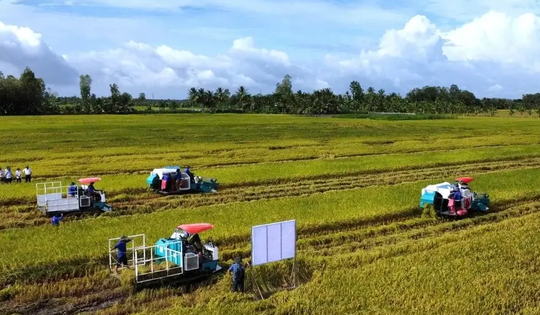 Doanh nghiệp, hiệp hội chung tay giữ nhịp sản xuất nông nghiệp