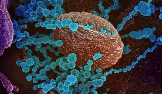 Campuchia giám sát biến thể mới của virus SARS-CoV-2