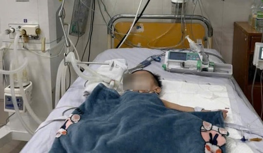 Chạy đua cứu cháu bé 19 tháng tuổi bị suy đa cơ quan do sốc nhiễm khuẩn