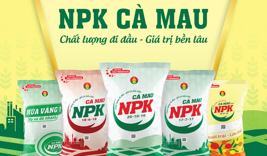 BSC khuyến nghị mua cổ phiếu DCM