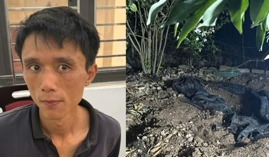 Thông tin bất ngờ về nghi phạm sát hại cụ bà dã man, phi tang thi thể trong vườn ở Hải Phòng