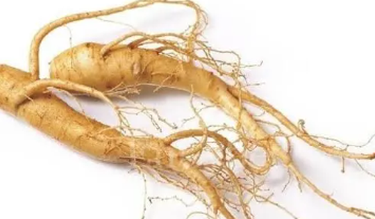 4 loại thảo dược cần tránh khi uống thuốc huyết áp, trong đó có trà xanh