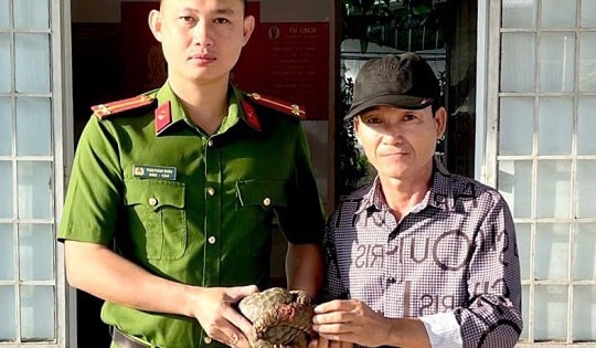 Đồng Nai: Người dân tự giác giao nộp cá thể tê tê quý hiếm đi lạc vào vườn