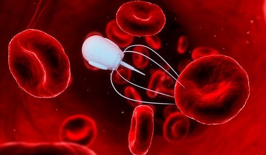 Robot DNA siêu nhỏ săn lùng virus và đưa thuốc vào cơ thể