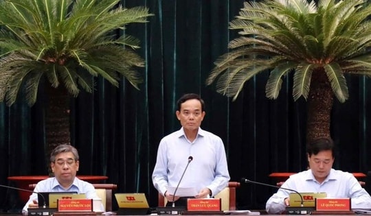 TPHCM chủ trương miễn phí xe buýt cho người dân nhằm bảo vệ môi trường