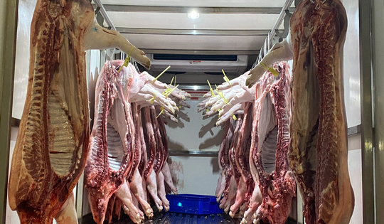 TPHCM siết an toàn thực phẩm từ khâu giết mổ đến bếp ăn