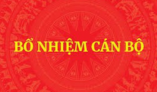Danh sách Chủ tịch, Phó Chủ tịch UBND 31 tỉnh, thành phố vừa được Thủ tướng phê chuẩn