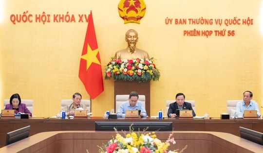 Đề xuất giám sát cải cách thủ tục hành chính và an toàn thực phẩm năm 2027