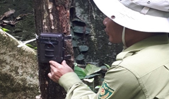 Những thiết bị hiện đại, trí tuệ nhân tạo được triển khai để bảo vệ động vật hoang dã quý hiếm