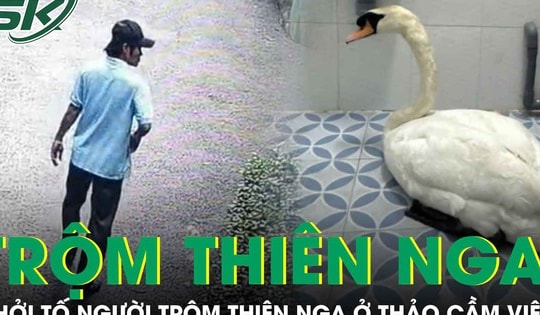 Khởi tố người đàn ông trộm thiên nga trắng trong Thảo Cầm Viên đi bán