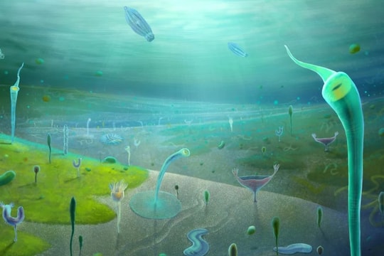 Phát hiện hóa thạch có thể hé lộ tổ tiên thật sự của loài người